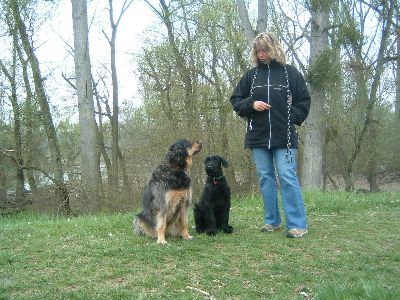 kannst Du daß mal übersetzen !!