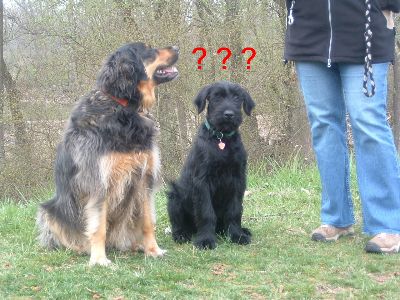 wie soll ich mir das bloß alles merken ?