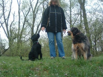 ich hab schon ein tolles Frauchen