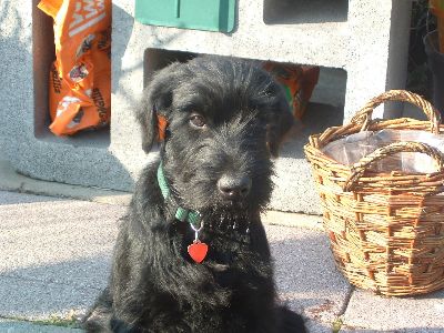 schau endlich weg das ich loslegen kann