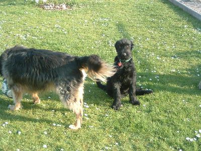 die wieder, ich hol in mir gleich