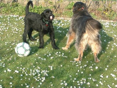 ich vernasch dich gleich