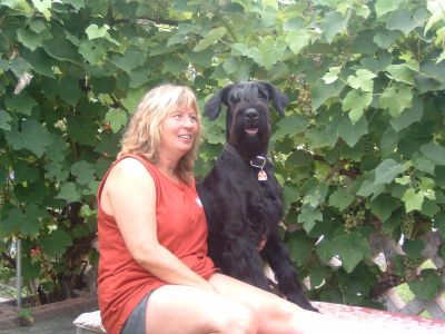 gell ich hab dich gelle gern gelle du mich a