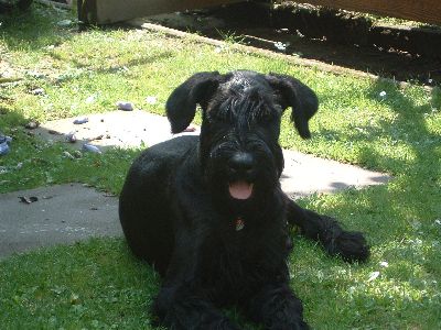 hier lieg ich am liebsten