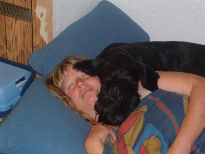 ich pass auf mein Frauchen auf !! Ich brauche 1 Sekunde bis zur Tür und Du ??