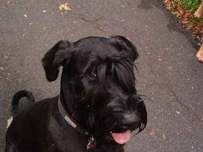 aber das macht nix " ich will viel lernen "