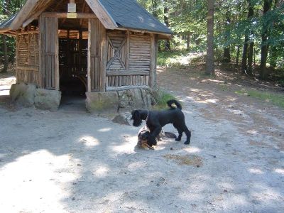 Cora komm wir müssen weiter