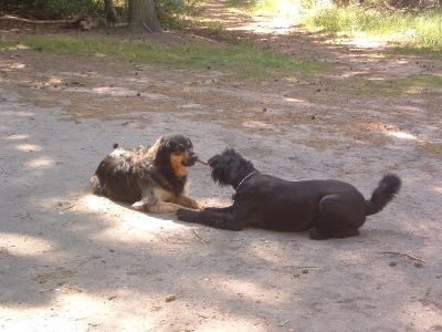 sollen wir mal wieder dran ziehen