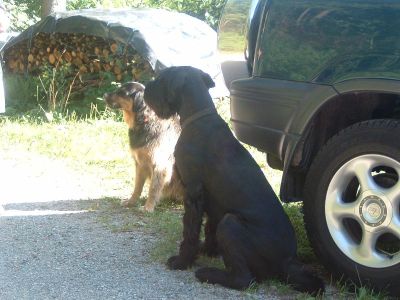 wir warten auf unser Leckerli