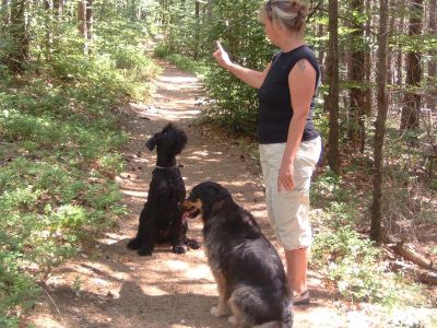 immer dieses Training mit dem Finger