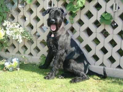 heute bin ich 6 Monate alt