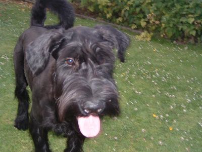 und tschüß gute Nacht